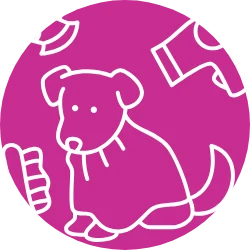 Ilustração de um cão sendo secado e escovado após a hidratação